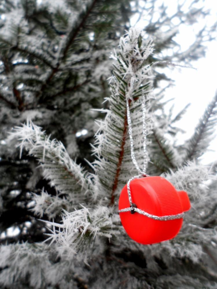 W moim magicznym domu, zdjęcie 1