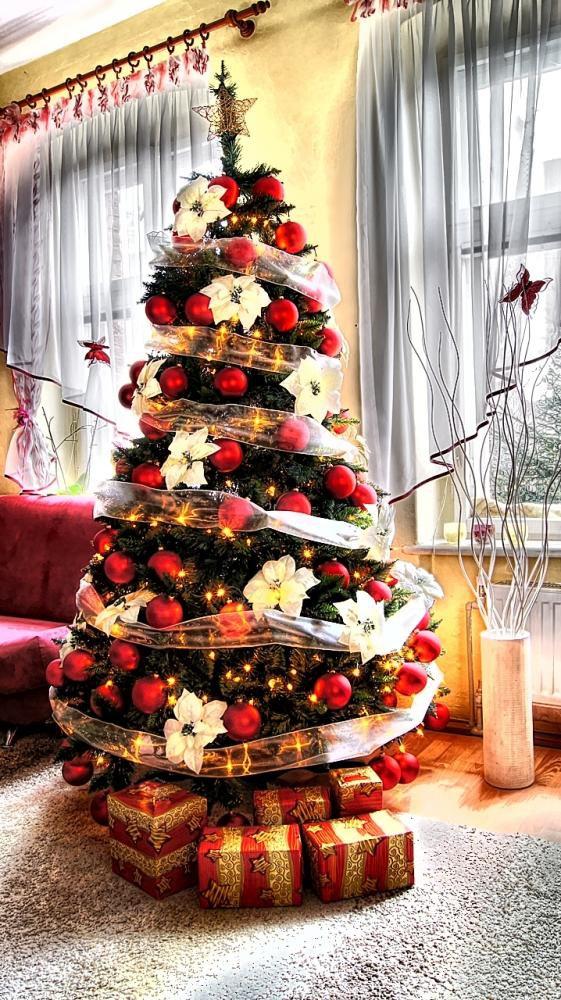 Konkurs , zdjęcie 2