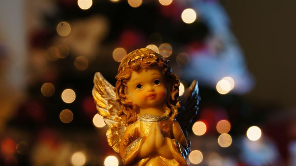 Konkurs , zdjęcie 3