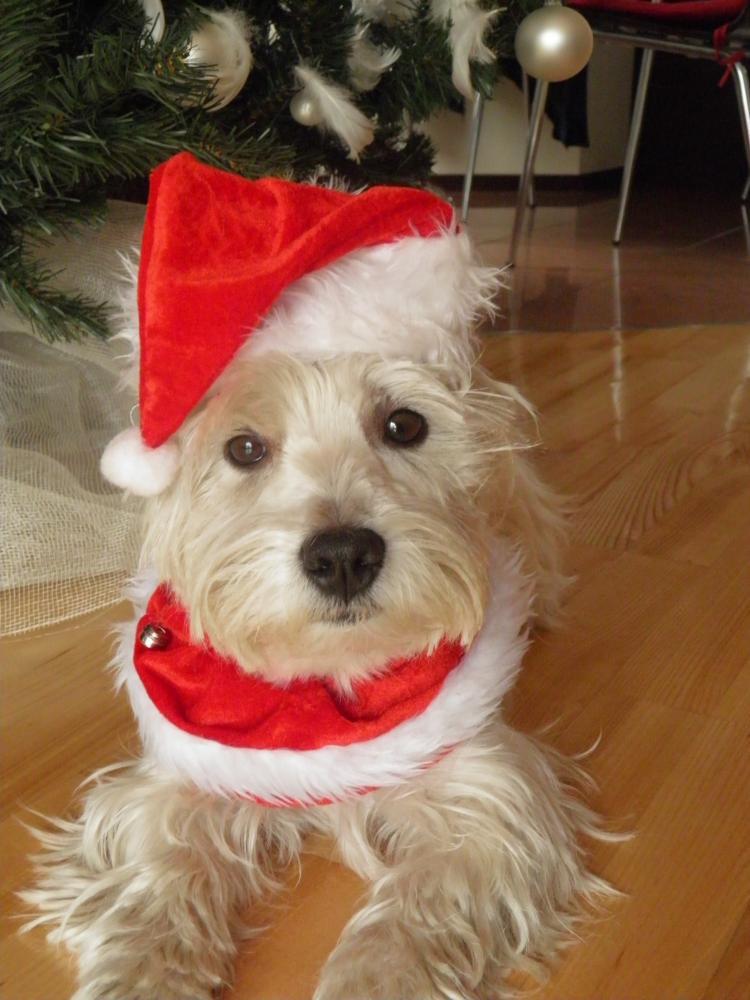 W moim magicznym domu, zdjęcie 43