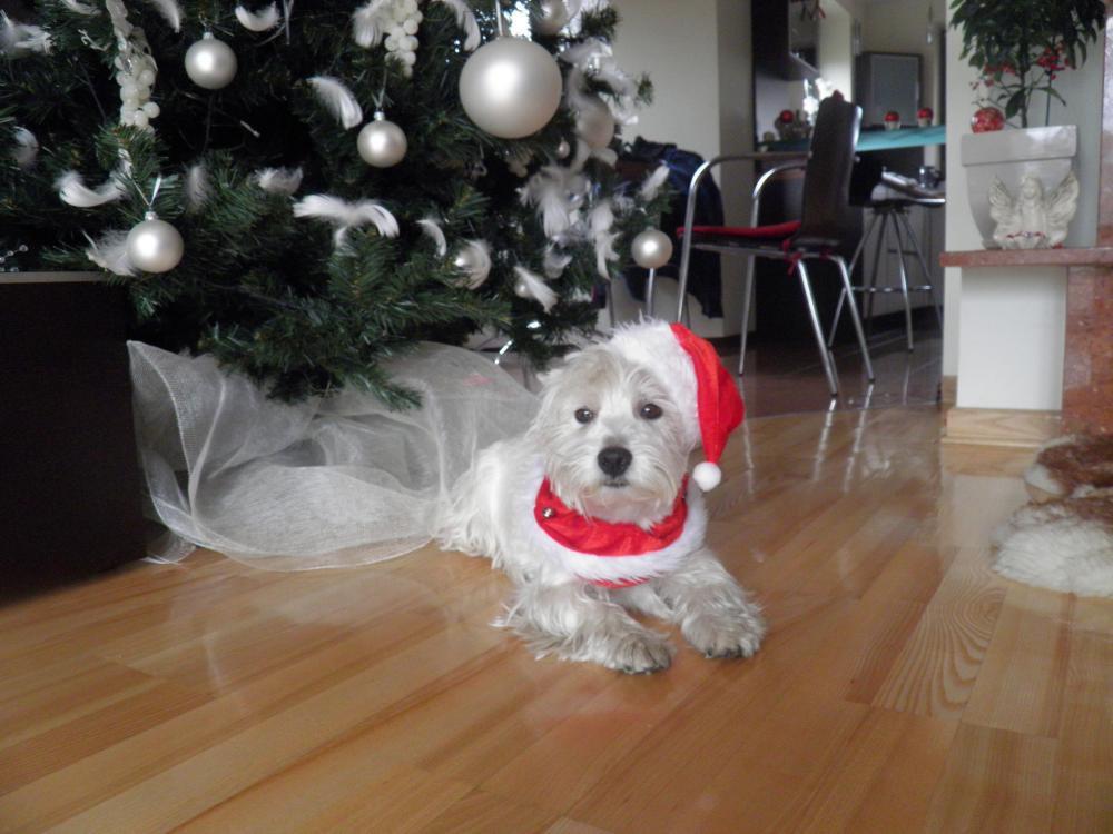 W moim magicznym domu, zdjęcie 42