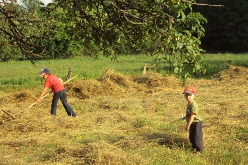 Wakacje na wsi u babci, zdjęcie 1
