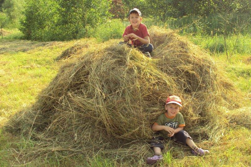 Wakacje na wsi u babci, zdjęcie 3