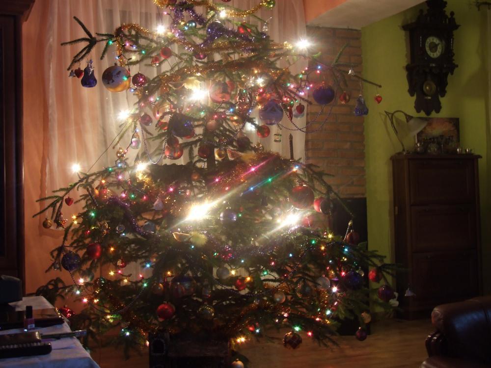 W moim magicznym domu, zdjęcie 7