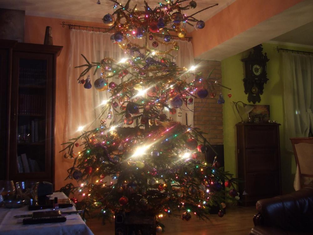 W moim magicznym domu, zdjęcie 8