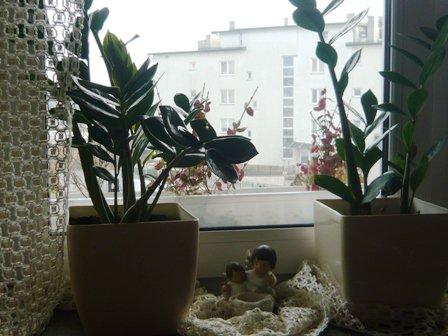 W moim magicznym domku, zdjęcie 6