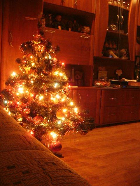 szczypta ciepła, zdjęcie 7