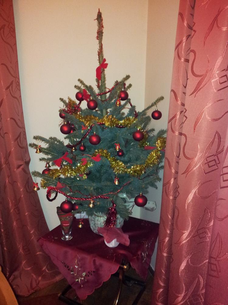 pyszne święta - uwielbiam to , zdjęcie 2