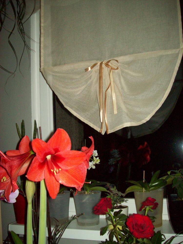 W moim domu na dobre zadomowiła się wiosna :), zdjęcie 38