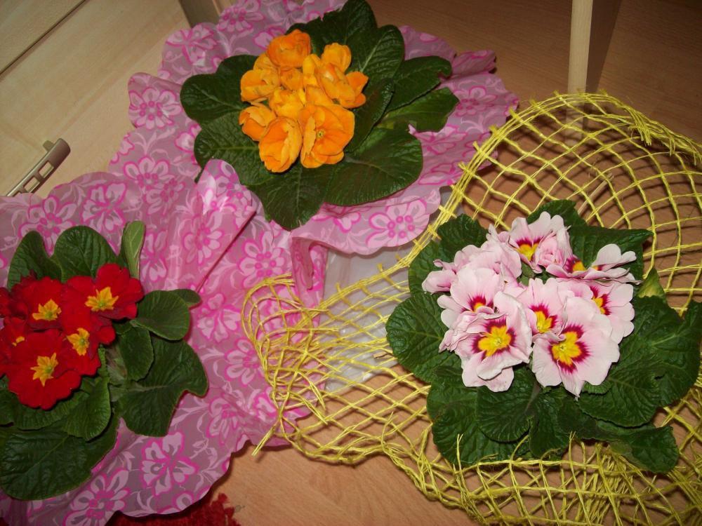 W moim domu na dobre zadomowiła się wiosna :), zdjęcie 41