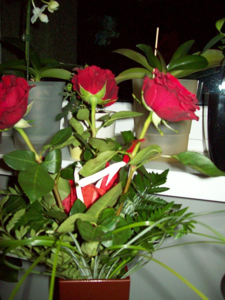 W moim domu na dobre zadomowiła się wiosna :), zdjęcie 31