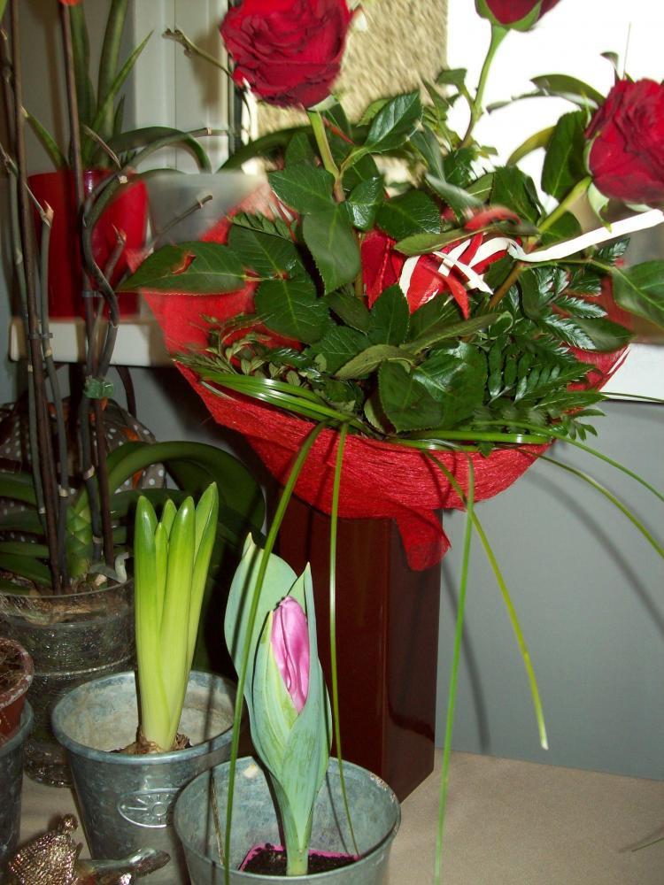 W moim domu na dobre zadomowiła się wiosna :), zdjęcie 34