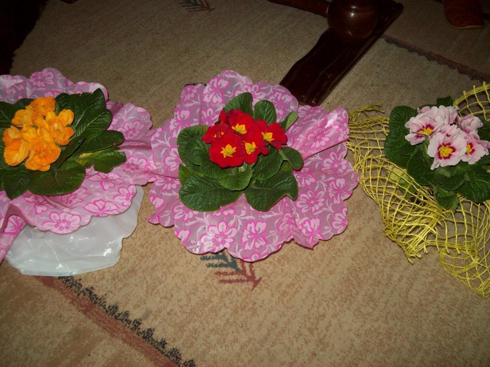 W moim domu na dobre zadomowiła się wiosna :), zdjęcie 40