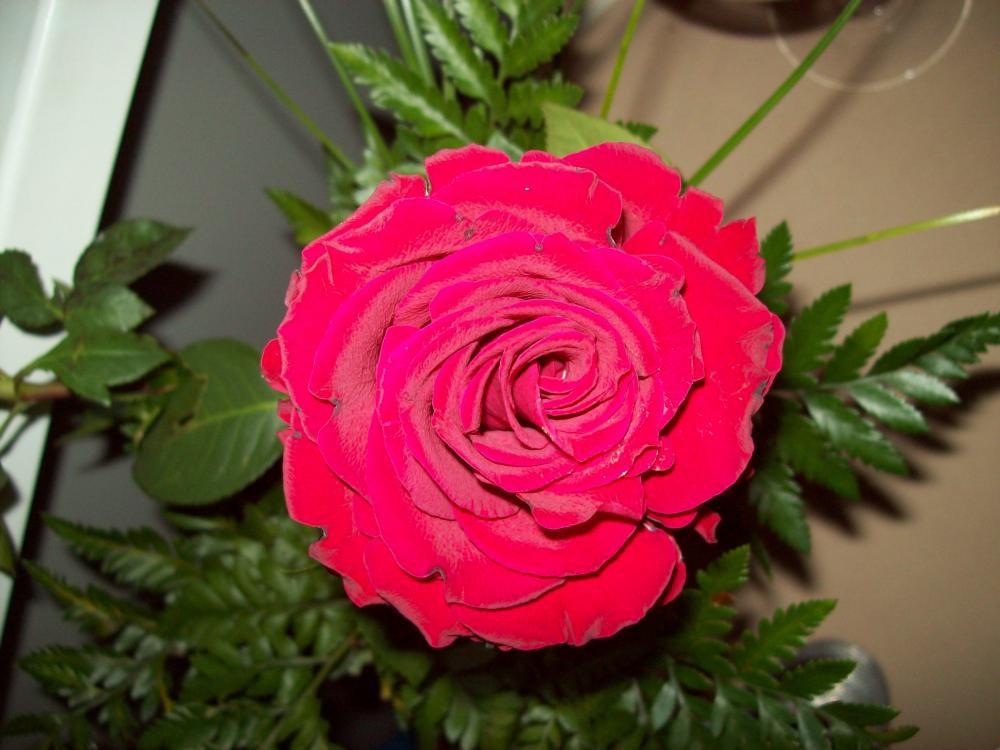 Walentynki po mojemu, zdjęcie 5