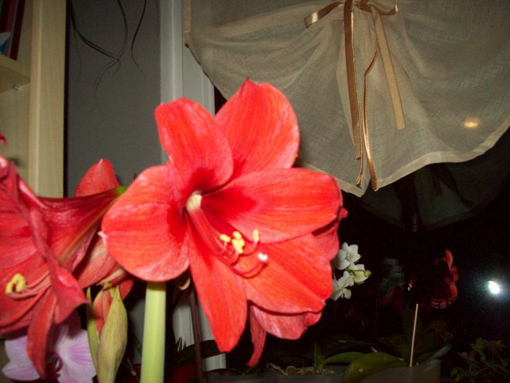 Walentynki po mojemu, zdjęcie 4