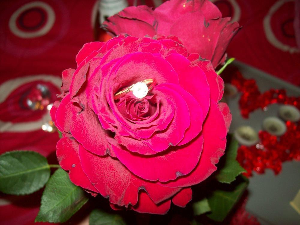 Walentynki po mojemu, zdjęcie 18