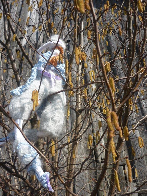 dowód , ze wiosna już przyszła:), zdjęcie 9