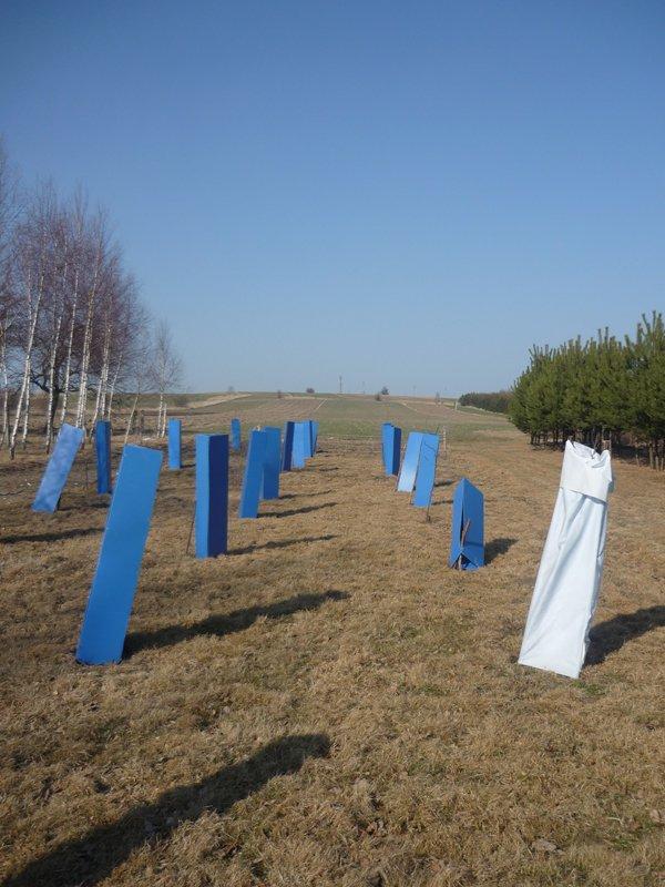 dowód , ze wiosna już przyszła:), zdjęcie 14