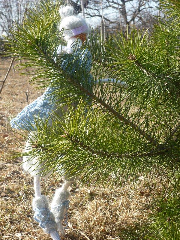 dowód , ze wiosna już przyszła:), zdjęcie 11