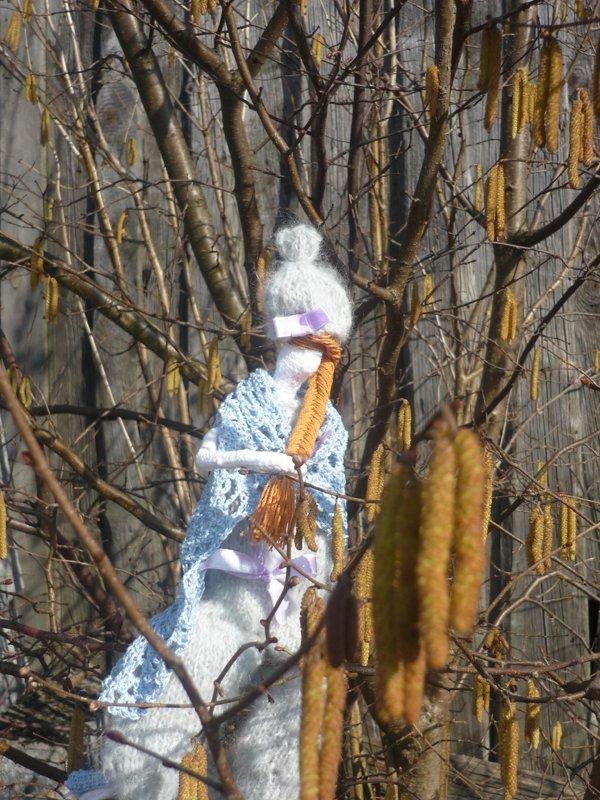 dowód , ze wiosna już przyszła:), zdjęcie 23