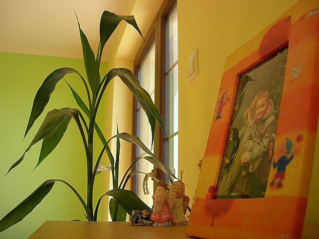 Nasz dom - nasza Pasja, zdjęcie 7