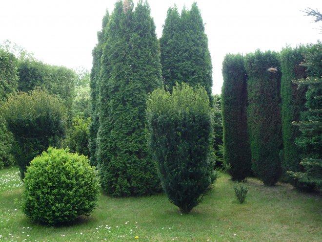 KONKURS Mój dom - moja pasja !, zdjęcie 8