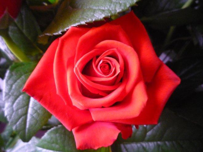 KONKURS Mój dom - moja pasja !, zdjęcie 10