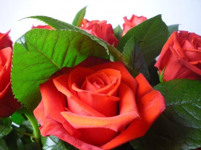 KONKURS Mój dom - moja pasja !, zdjęcie 49