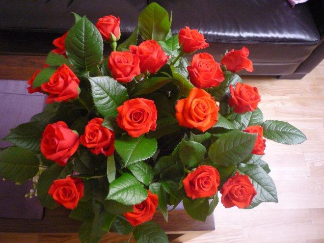 KONKURS Mój dom - moja pasja !, zdjęcie 177