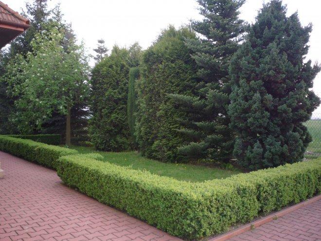 KONKURS Mój dom - moja pasja !, zdjęcie 150