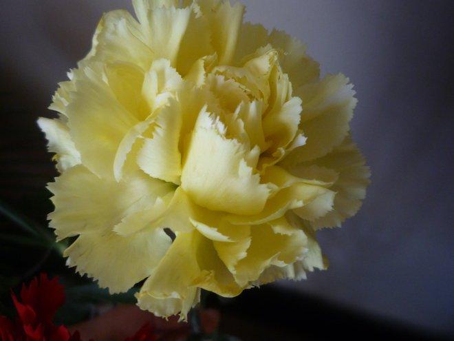 KONKURS Mój dom - moja pasja !, zdjęcie 67