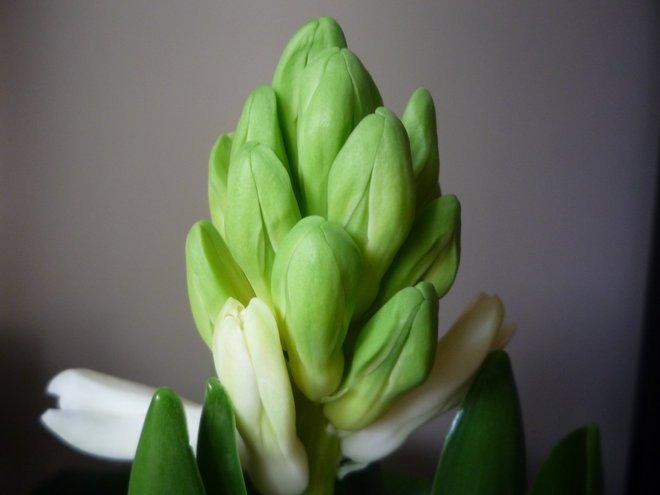 KONKURS Mój dom - moja pasja !, zdjęcie 2