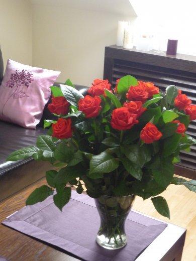 KONKURS Mój dom - moja pasja !, zdjęcie 50