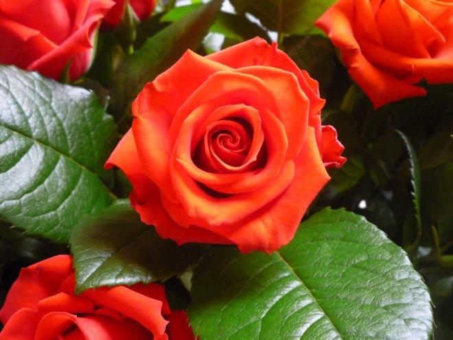 KONKURS Mój dom - moja pasja !, zdjęcie 143