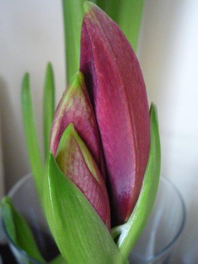 KONKURS Mój dom - moja pasja !, zdjęcie 22