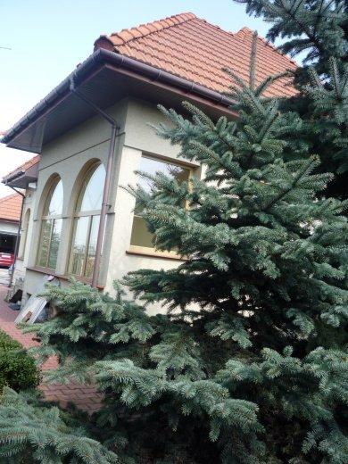 KONKURS Mój dom - moja pasja !, zdjęcie 43