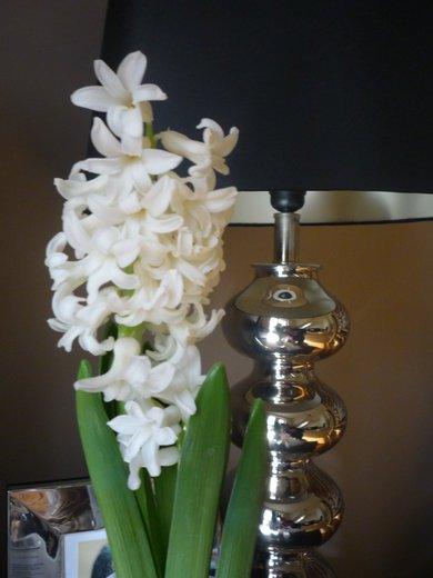 KONKURS Mój dom - moja pasja !, zdjęcie 139