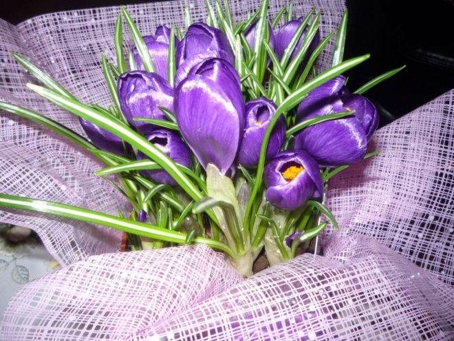 KONKURS Mój dom - moja pasja !, zdjęcie 66