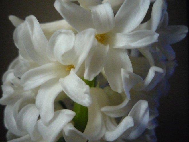 KONKURS Mój dom - moja pasja !, zdjęcie 117