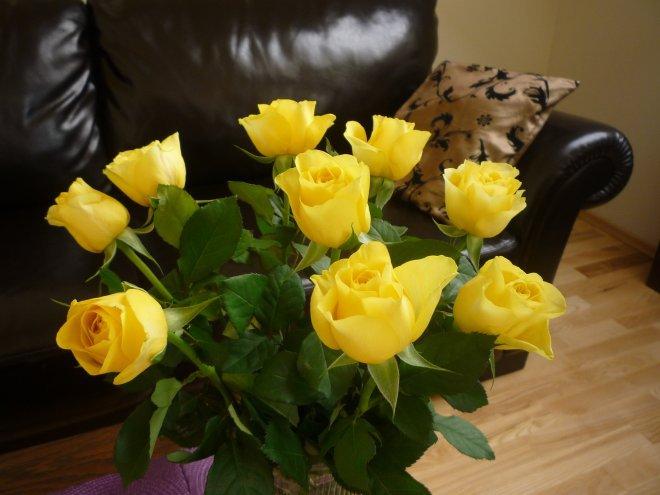 KONKURS Mój dom - moja pasja !, zdjęcie 197