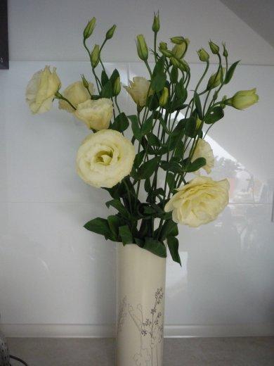 KONKURS Mój dom - moja pasja !, zdjęcie 46