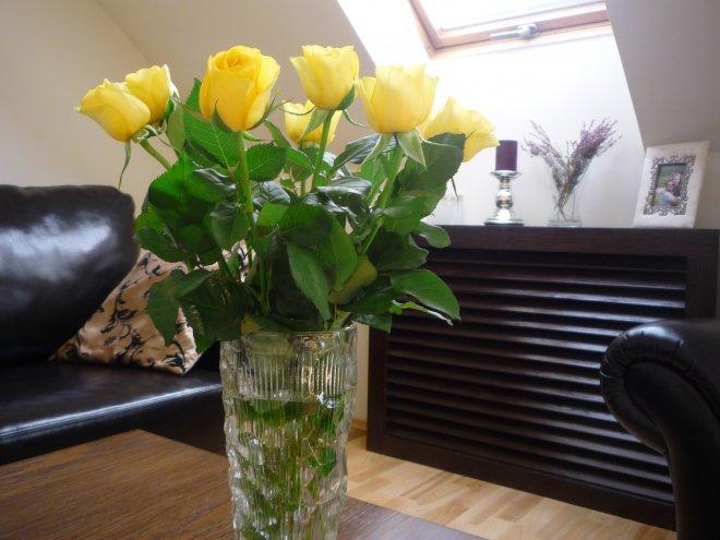 KONKURS Mój dom - moja pasja !, zdjęcie 106