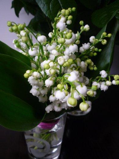 KONKURS Mój dom - moja pasja !, zdjęcie 108