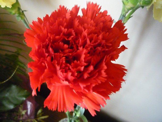 KONKURS Mój dom - moja pasja !, zdjęcie 32