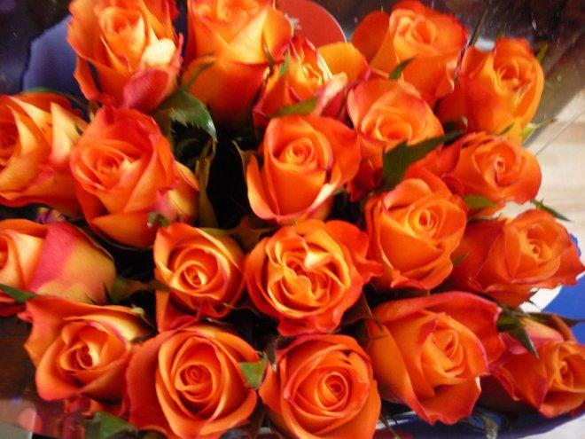 KONKURS Mój dom - moja pasja !, zdjęcie 52