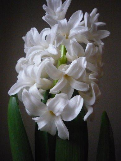 KONKURS Mój dom - moja pasja !, zdjęcie 63