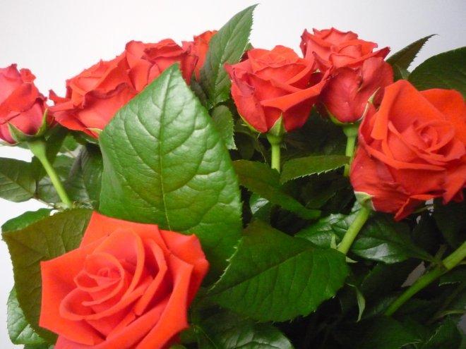 KONKURS Mój dom - moja pasja !, zdjęcie 102