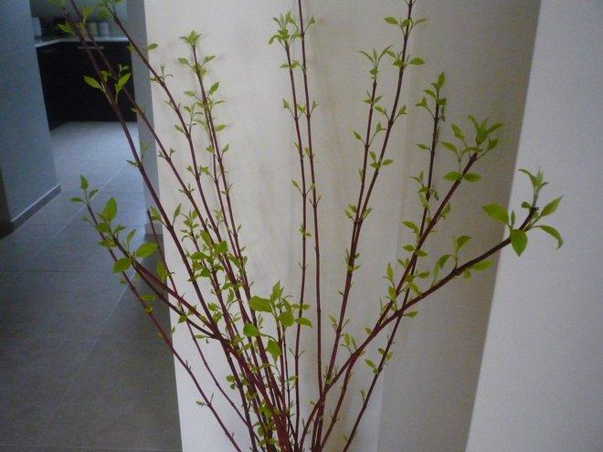 KONKURS Mój dom - moja pasja !, zdjęcie 96