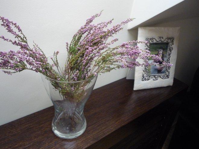 KONKURS Mój dom - moja pasja !, zdjęcie 26