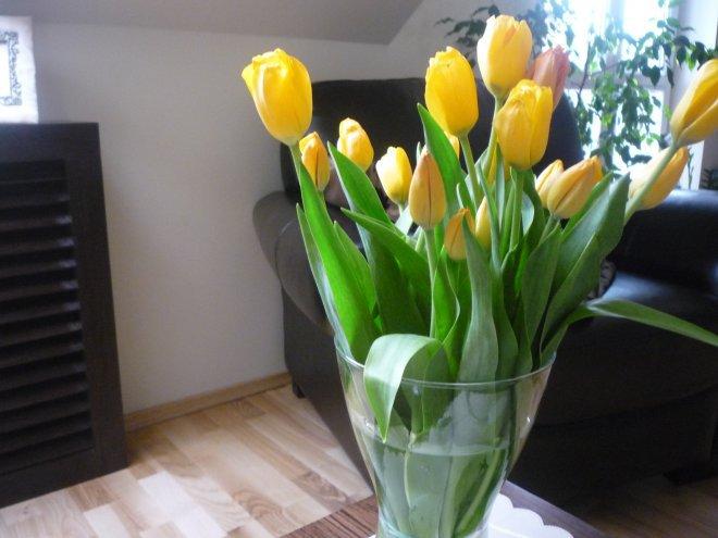 KONKURS Mój dom - moja pasja !, zdjęcie 75